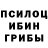 Псилоцибиновые грибы Magic Shrooms Mirlanova