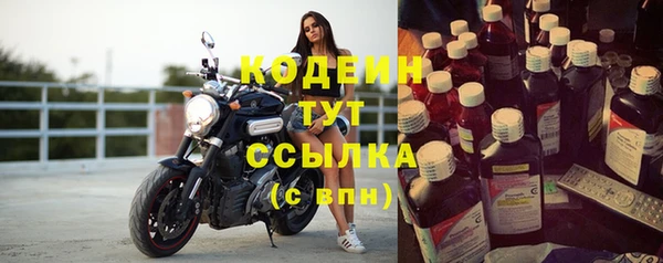 прущие грибы Арсеньев
