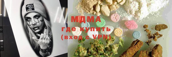 прущие грибы Арсеньев